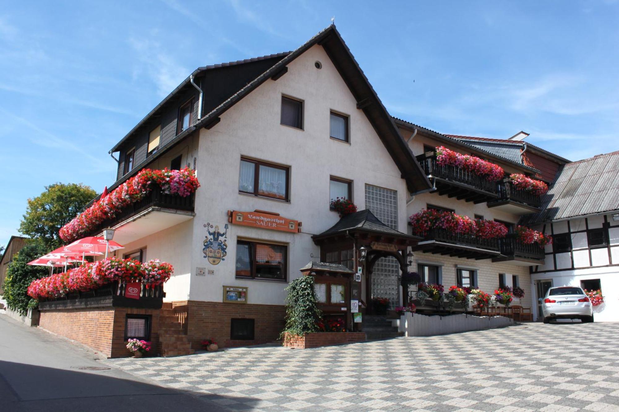 Landgasthof Hotel Sauer Willingen  Dış mekan fotoğraf