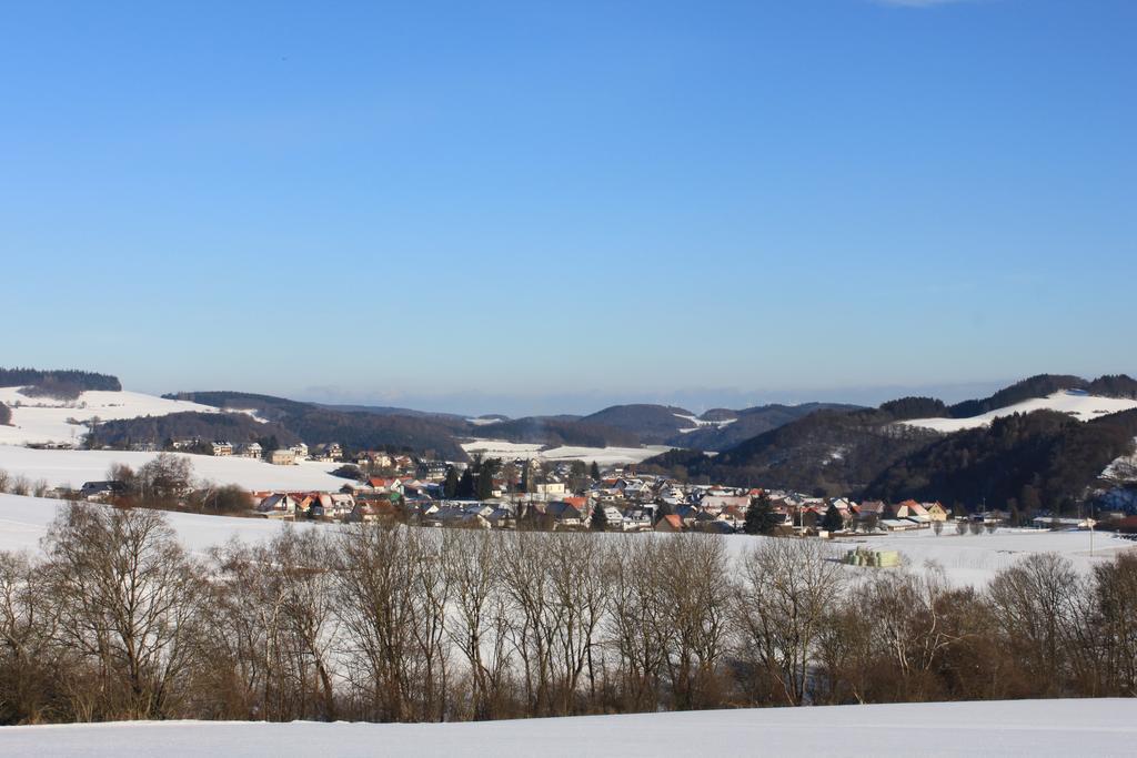 Landgasthof Hotel Sauer Willingen  Dış mekan fotoğraf