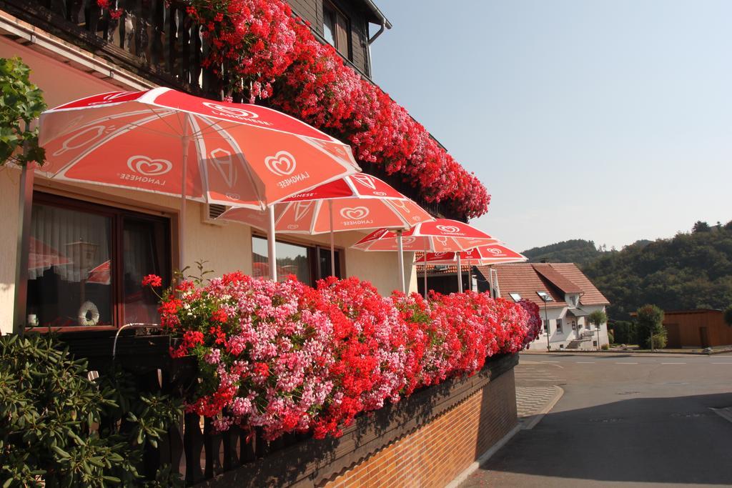 Landgasthof Hotel Sauer Willingen  Dış mekan fotoğraf